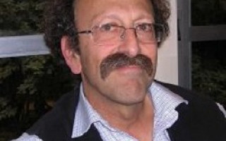 פרופ' שולמן