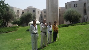 אומנויות לחימה