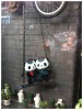 chengdu-store_front-photo_by_orna_naftali.jpg
